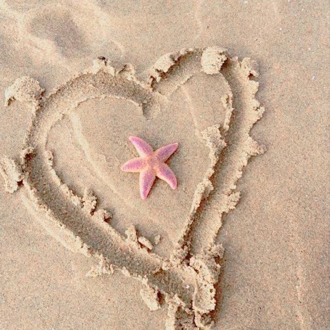 Un grand coeur tracé à la main dans le sable sur une plage, avec une petite étoile de mer.
